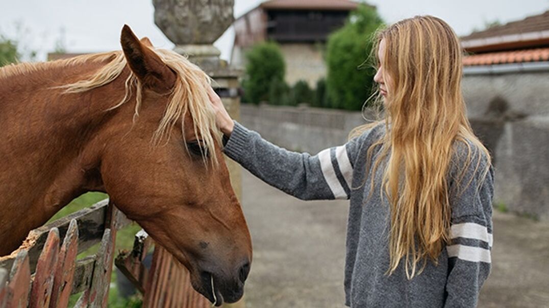 Teenage girl patting a brown horse