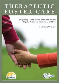 Therapeutic Foster Care Lit Review