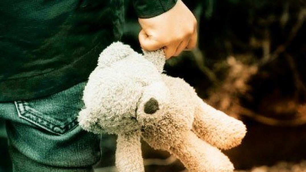 child's hand holding a teddy bear